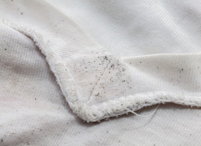 avoiding mildew on clothing